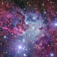 Fox Fur Nebula