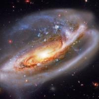 Tadpole Galaxy